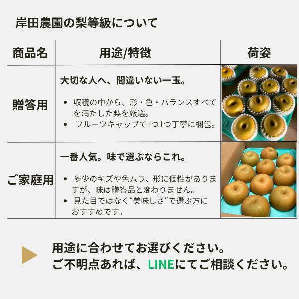 出荷時期は【8月中旬頃予定】予約注文｜スーパーでは買えない『完熟梨』幸水（こうすい）【家庭用】