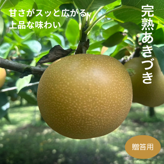出荷時期は【9月中~下旬頃予定】予約注文｜スーパーでは買えない『完熟梨』あきづき【贈答用】