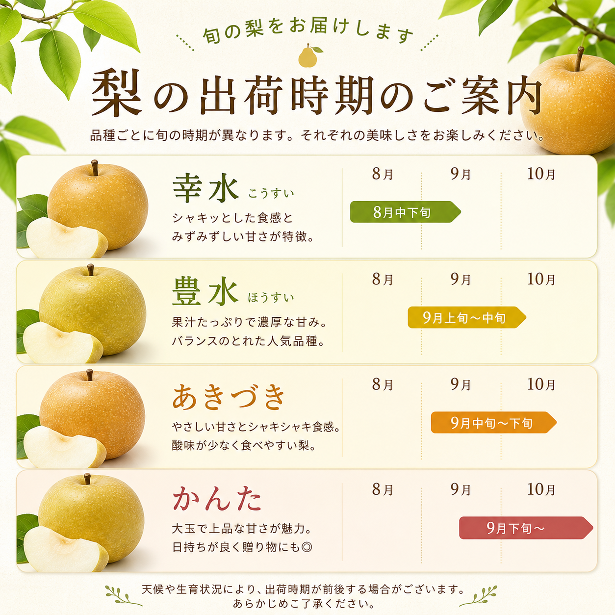 出荷時期は【8月中旬頃予定】予約注文｜スーパーでは買えない『完熟梨』幸水（こうすい）【家庭用】